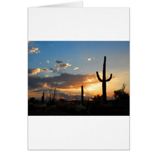 Light Fades in a Blaze Cards