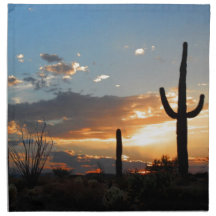 Light Fades in a Blaze