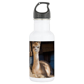 Light Fawn Alpaca Stainless Steel Water Bottle