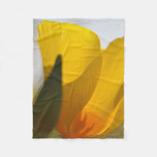 Light Filled Poppy Fleece Blanket