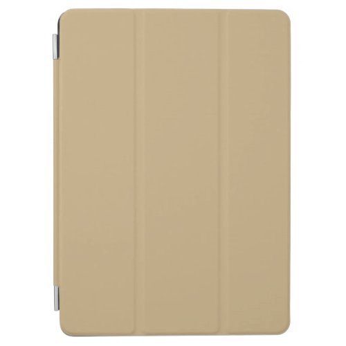 Light French Beige Solid Color iPad Air Cover