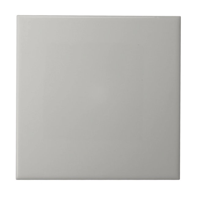 Light French Gray Solid Color Ceramic Tile (Front)