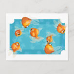 Light goldfish postcard
