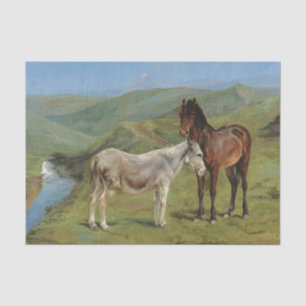 Light Gray Horse in a Field (Equine Farm Animal) Tissue Paper