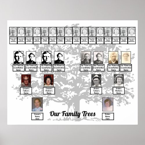 Light Gray Leafage Tree Drawing Two Family Trees  Poster