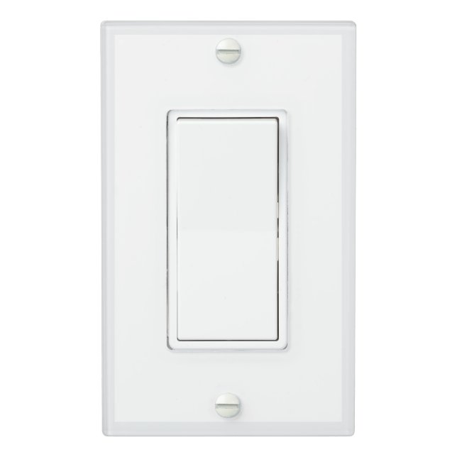 Light Gray White Single Rocker Light Switch Cover (In Situ)