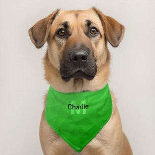 Light green geometric mesh pattern Monogram Pet Bandana Collar