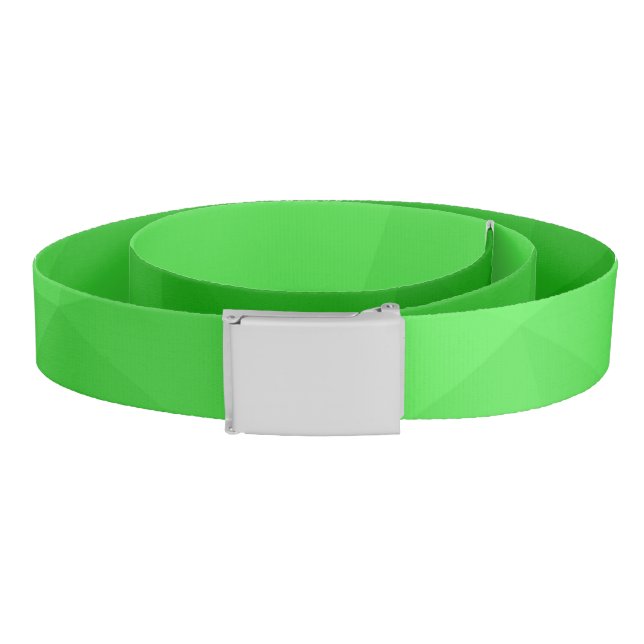 Light green gradient geometric mesh bright pattern belt (Coil)
