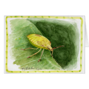 Light Green Stink Bug Cards