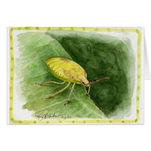 Light Green Stink Bug Cards (Front Horizontal)