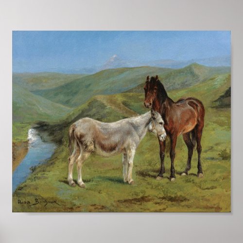 Light Grey Horse in a Field Equine Farm Animal Poster