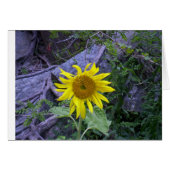 Light in darkness (Front Horizontal)