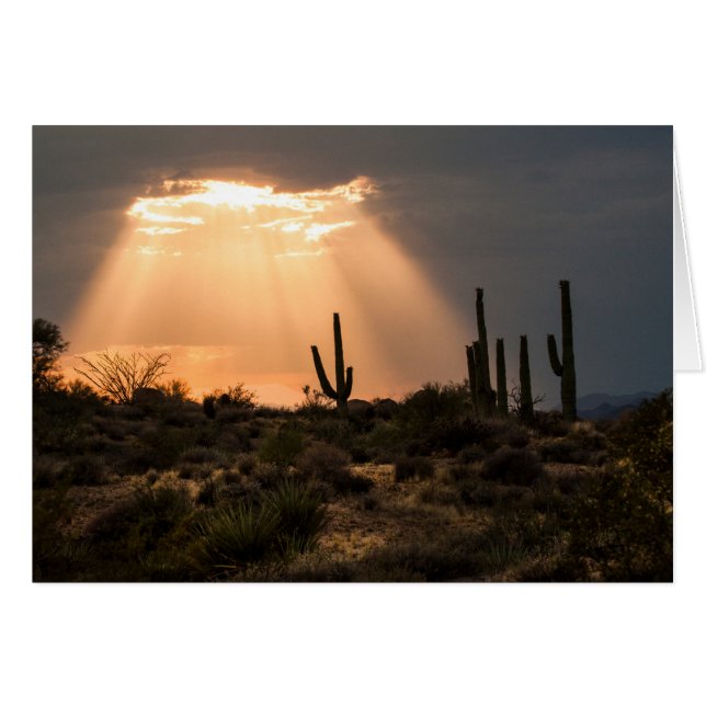 Light in the Desert Cards (Front Horizontal)