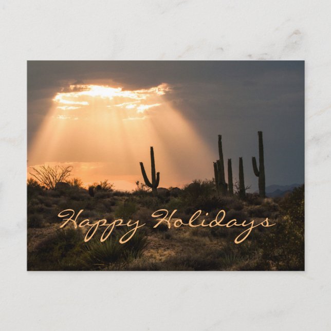 Light in the Desert Happy Holidays Holiday Postcard (Front)