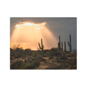 Light in the Desert Metal Print