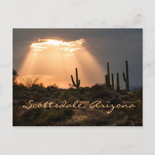 Light in the Desert Scottsdale AZ Postcard