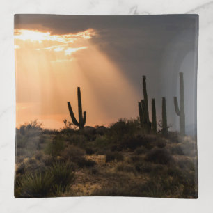 Light in the Desert Trinket Tray