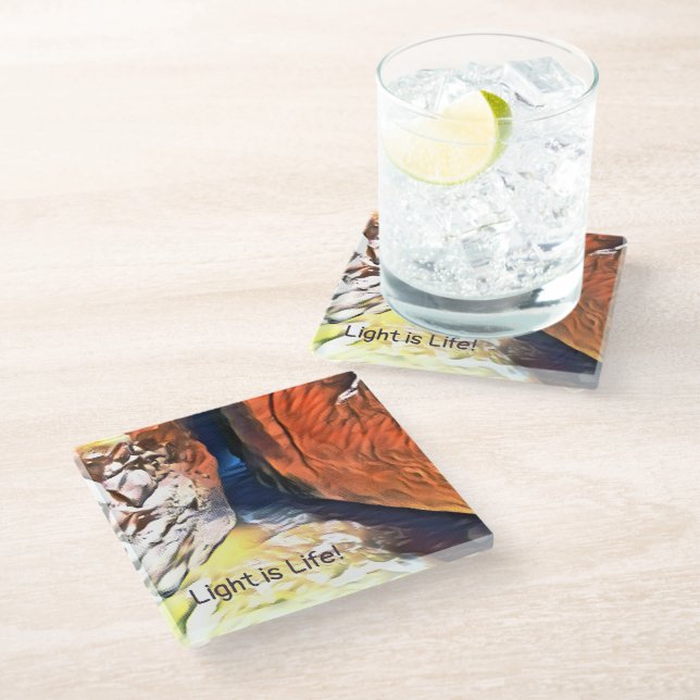 Light is Life- Coast Stony Crevasse Glass Coaster (Angled)
