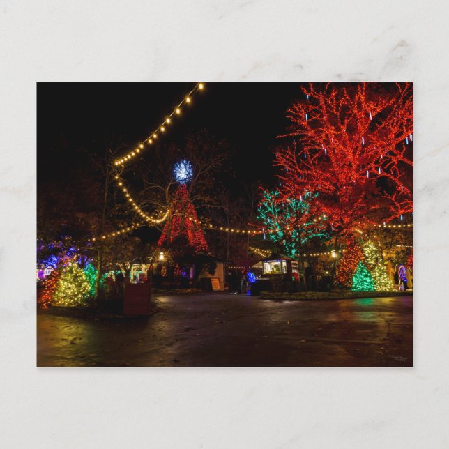 Light It Up For Christmas Post Card (Front)