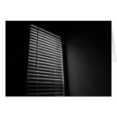 Light, Lines & Shade (Front Horizontal)