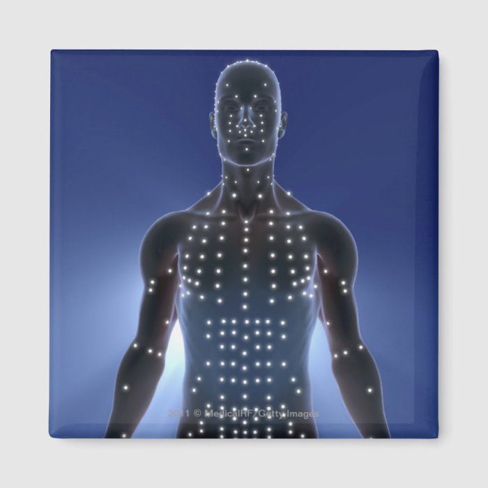 Light map of acupuncture points fridge magnets