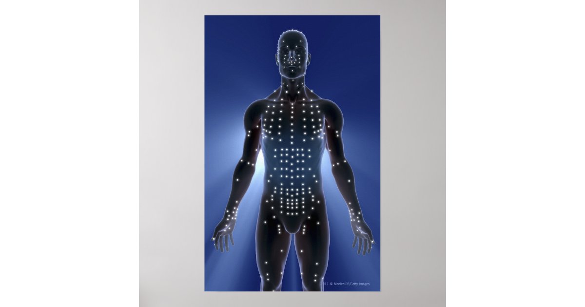Light map of acupuncture points poster | Zazzle
