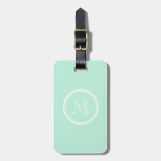 Light Mint Green High End Colored Luggage Tag