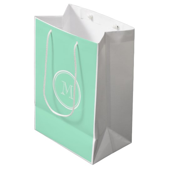 Light Mint Green High End Colored Matching Medium Gift Bag