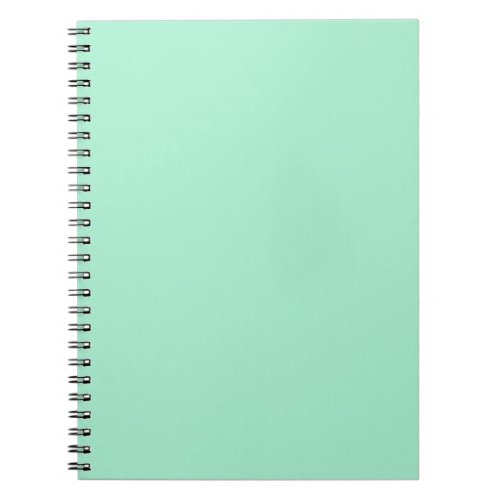 Light Mint Green High End Colored Matching Notebook