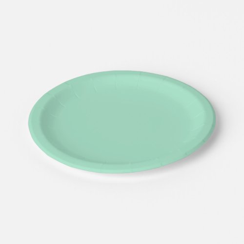 Light Mint Green High End Colored Matching Paper Plates