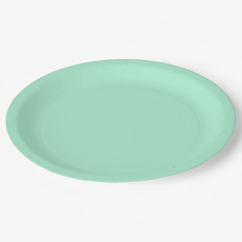 Light Mint Green High End Colored Matching Paper Plates
