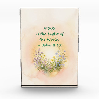 Light of the World Acrylic Award