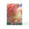 light orange dahlias 2