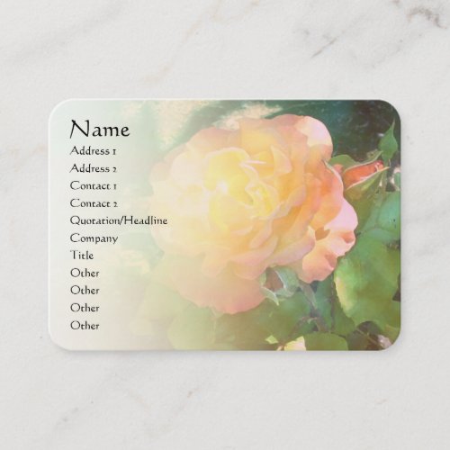 Light Orange Rose Pale Blend Profile Card