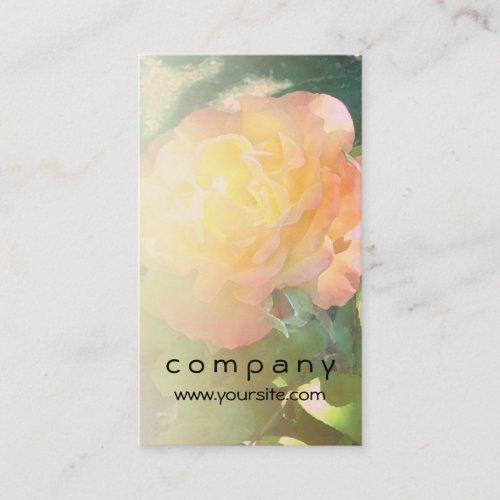 Light Orange Yellow Rose Blend Business Card