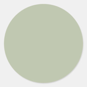 Light Pale Sage Green Neutral Elegant Solid Color Classic Round Sticker