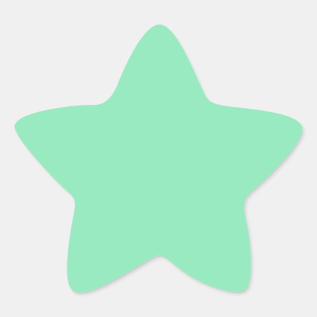 Light Pastel Mint Green Star Sticker (Front)