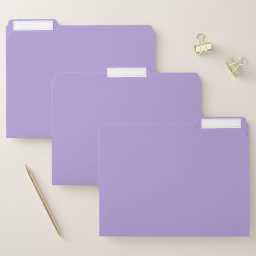 Light Pastel Purple Solid Color File Folder