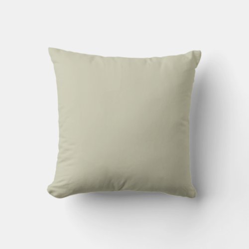 Light Pastel Sage Green Solid Color Background Throw Pillow