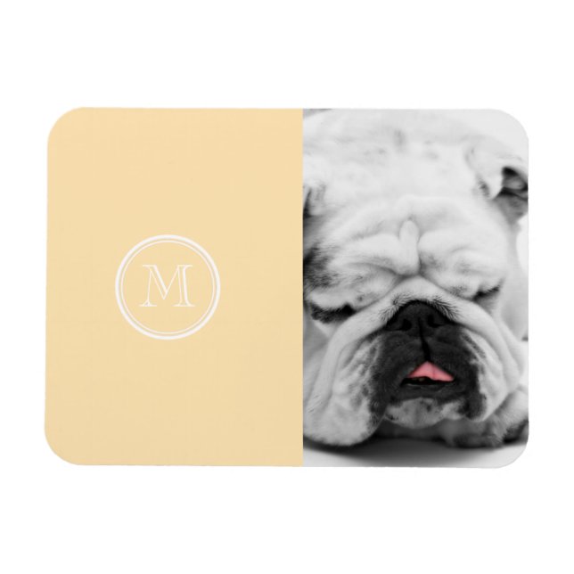 Light Peach High End Colored Magnet (Horizontal)