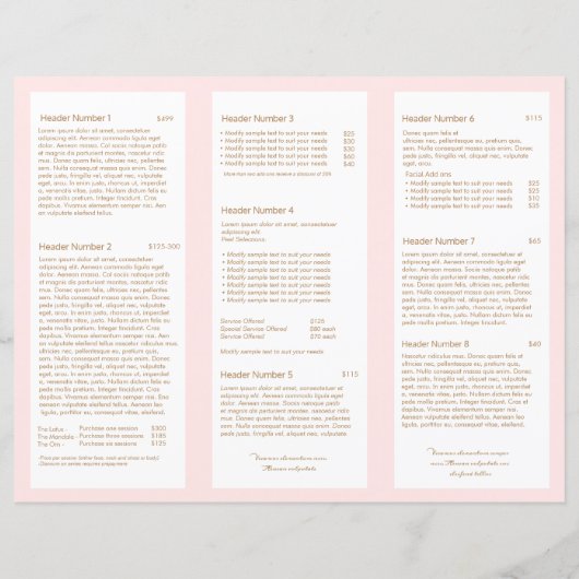 Light Pink Beauty Day Spa Salon TriFold Brochure (Back)
