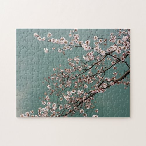 Light pink cherry blossoms on turquois background jigsaw puzzle