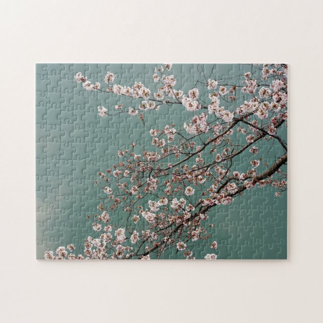 Light pink cherry blossoms on turquois background jigsaw puzzle (Horizontal)