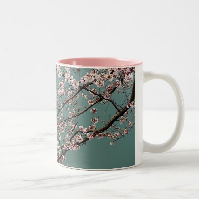Light pink cherry blossoms on turquois background Two-Tone coffee mug (Right)