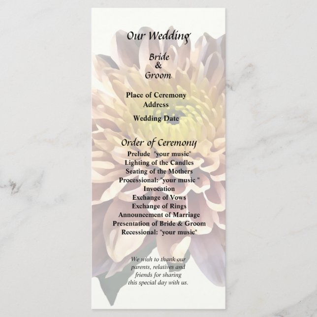 Light Pink Chrysanthemums Program (Front)