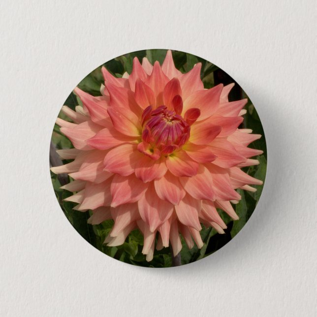 Light Pink Dahlia Petals Motif Button (Front)