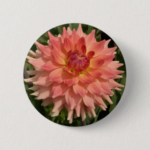 Light Pink Dahlia Petals Motif Button