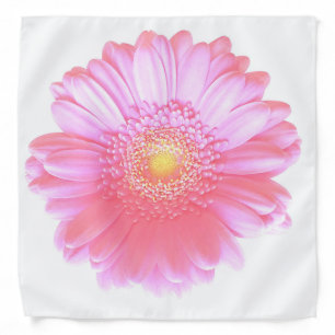 Light pink gerbera daisy bandana