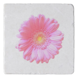 Light pink gerbera daisy trivet