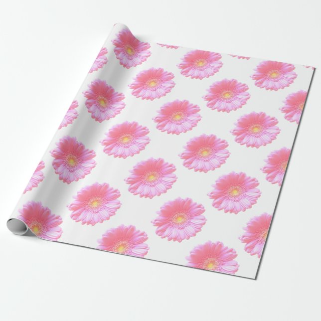 Light pink gerbera daisy wrapping paper (Unrolled)